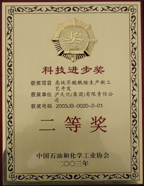 中国石油和化学工业协会二等奖