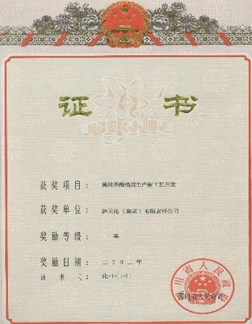 四川省科技进步一等奖