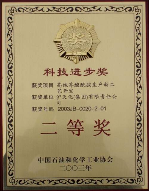 中国石油和化学工业协会二等奖