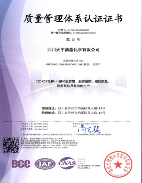 质量管理体系认证证书中文版