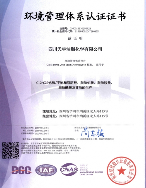 环境管理体系认证证书中文版