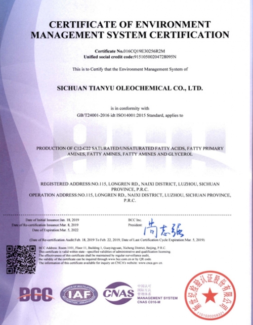 环境管理体系认证证书英文版